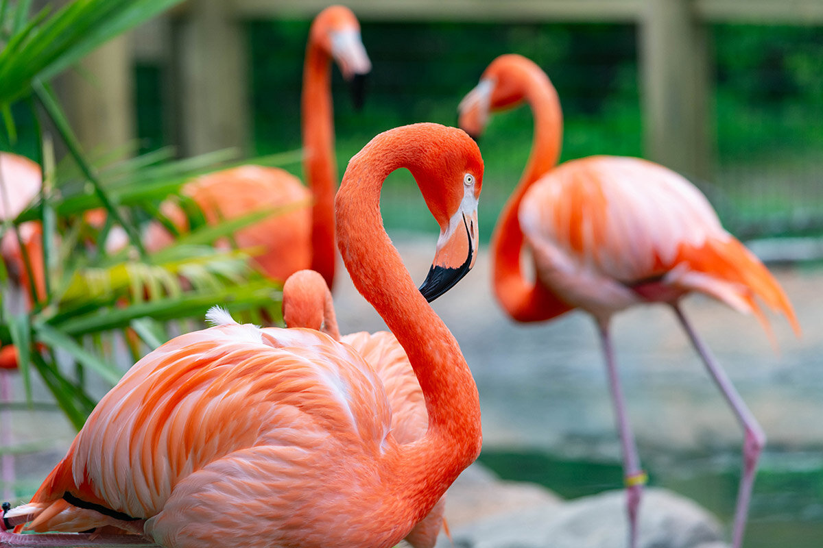 Centro de Ciencias de Greensboro invita a una experiencia sensorial y anuncia una pausa temporal Centro de Ciencias de Greensboro invita a una experiencia sensorial y anuncia una pausa temporal