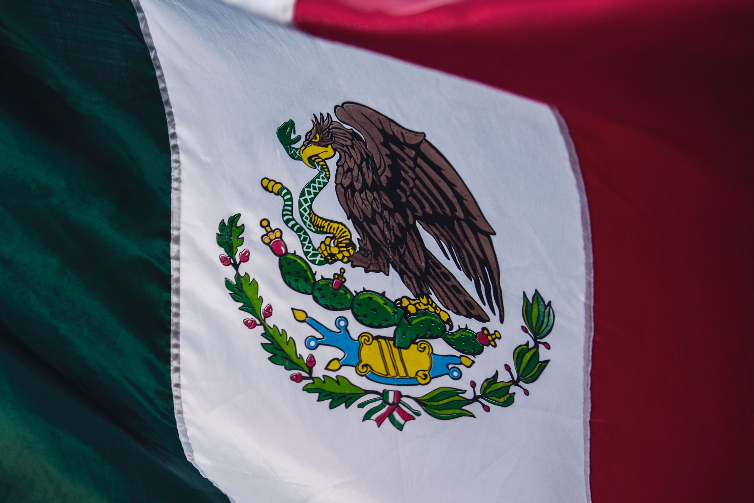México: Tras el asesinato de cuatro periodistas en enero exigen a López Obrador que cese la impunidad México: Tras el asesinato de cuatro periodistas en enero exigen a López Obrador que cese la impunidad