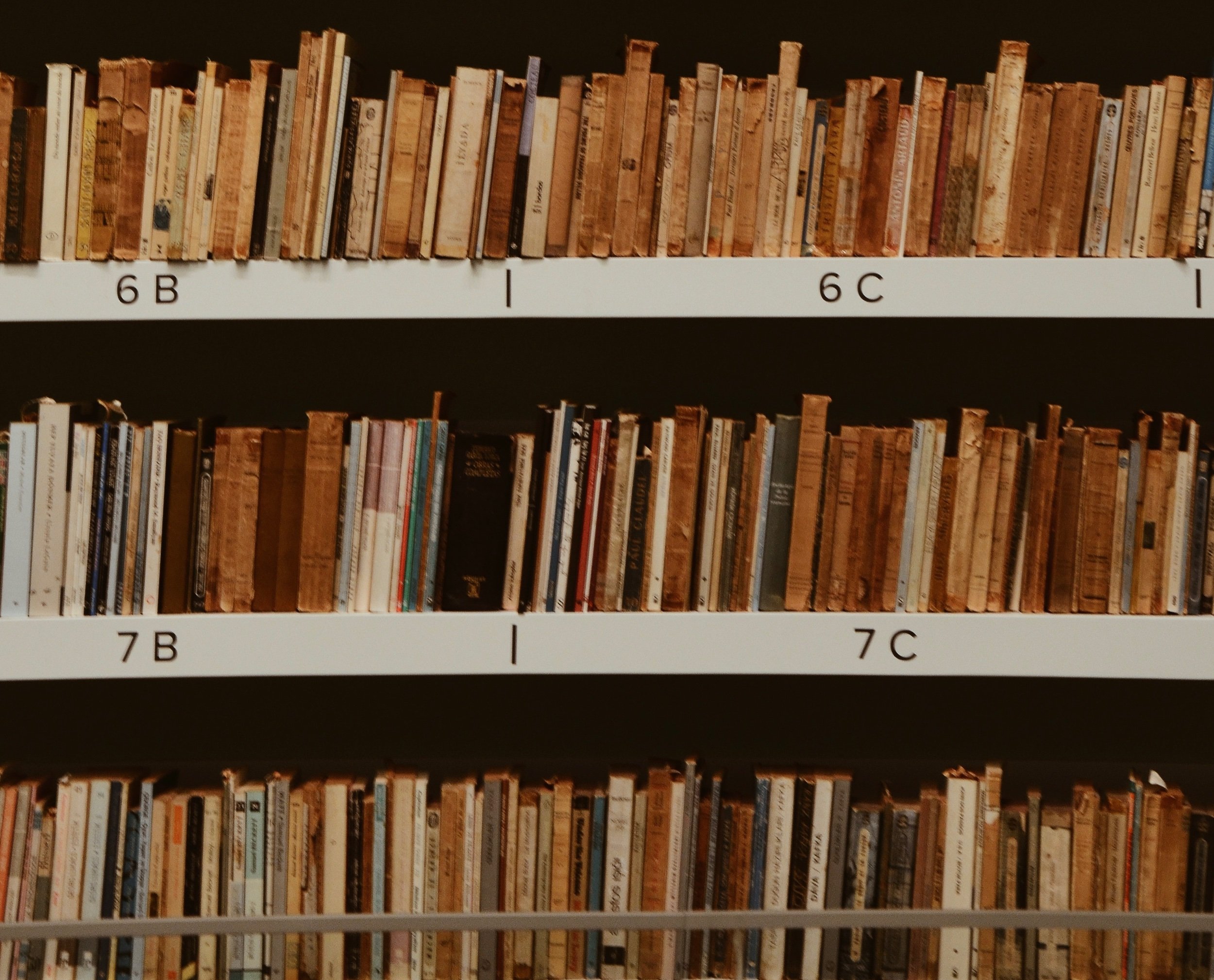 “No creo que eso sea justo”: Carolina del Norte se destaca como uno de los principales estados en la censura a nivel nacional “No creo que eso sea justo”: Carolina del Norte se destaca como uno de los principales estados en la censura a nivel nacional