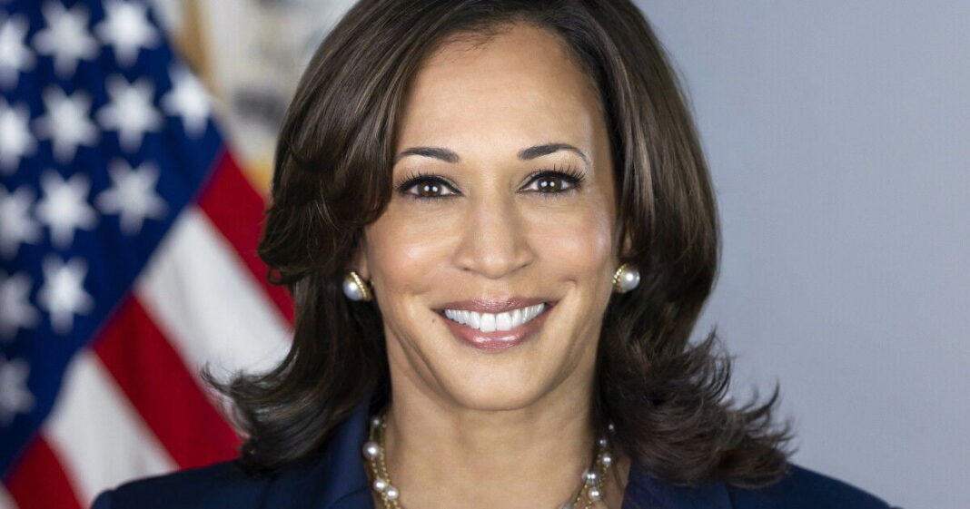 Las propuestas de Kamala Harris en su carrera a la presidencia Kamala Harris Photo