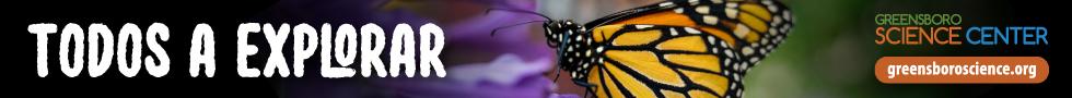 spot_img