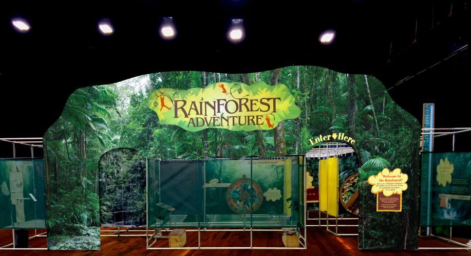 Rainforest Adventure